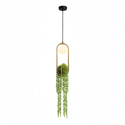 Lampe Suspendue - Fond blanc